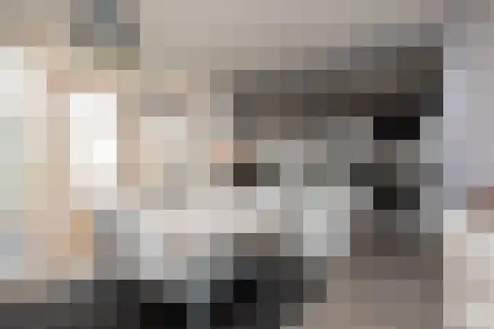 Ylostinslaan 50 IJlst thumbnail 6