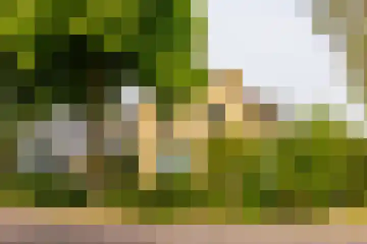 Yme Dunenweg 10 Hollum thumbnail 29
