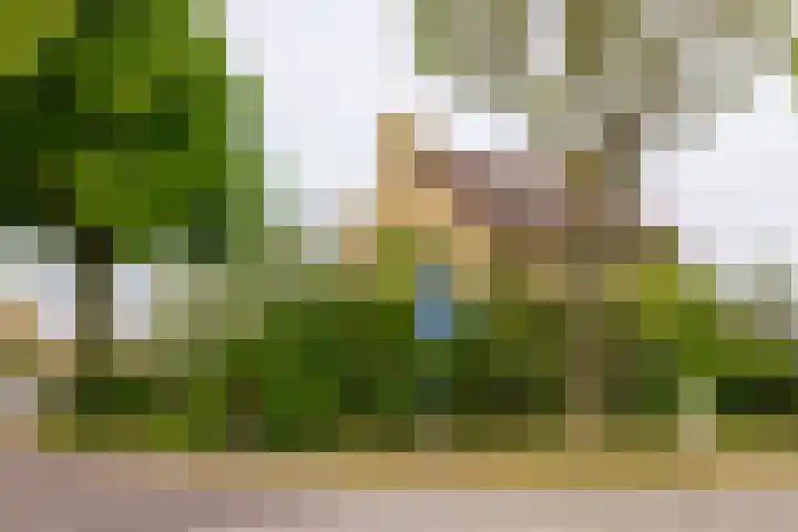 Yme Dunenweg 10 Hollum thumbnail 30