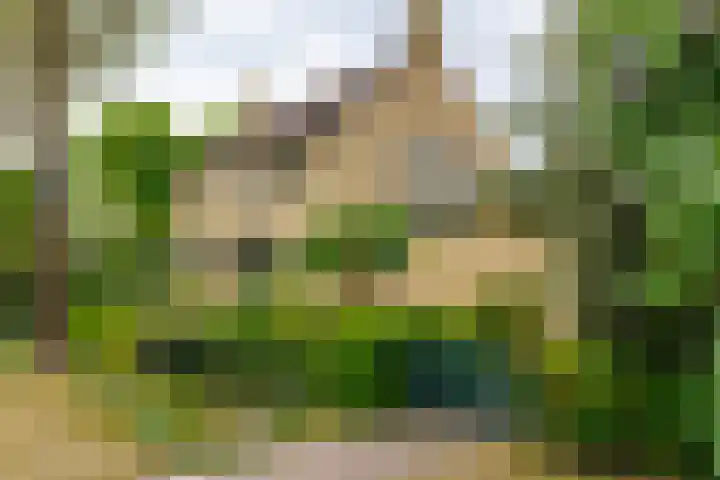 Yme Dunenweg 10 Hollum thumbnail 31