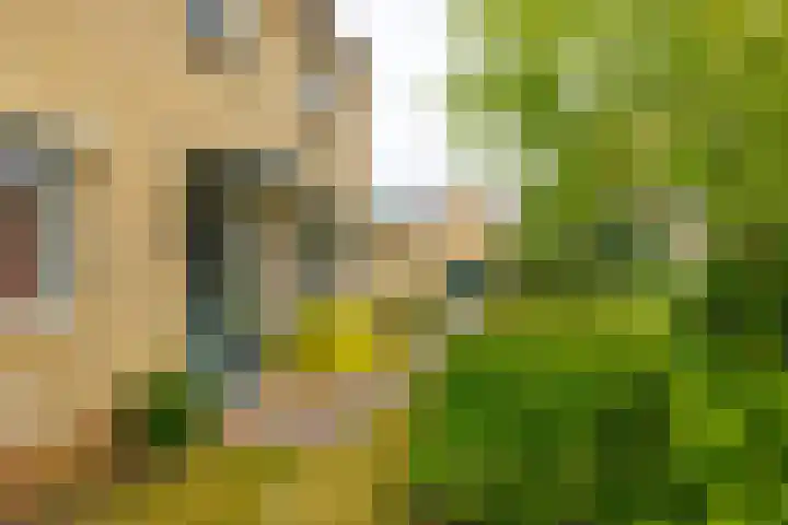 Yme Dunenweg 10 Hollum thumbnail 35