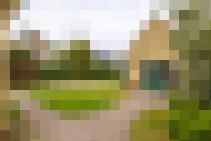 Yme Dunenweg 10 Hollum thumbnail 36