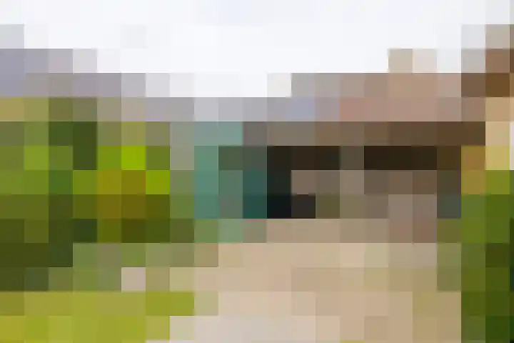 Yme Dunenweg 10 Hollum thumbnail 38