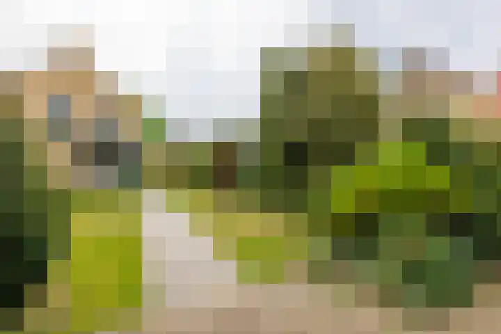 Yme Dunenweg 10 Hollum thumbnail 39