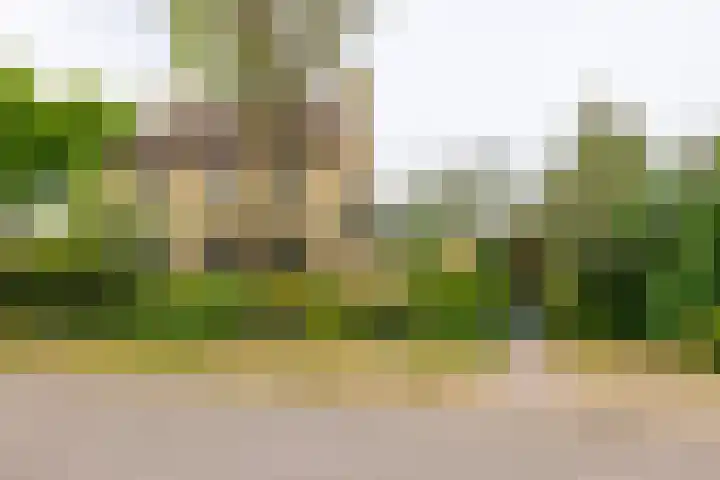 Yme Dunenweg 10 Hollum thumbnail 47