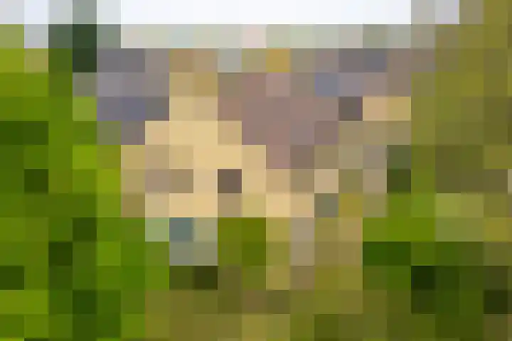 Yme Dunenweg 10 Hollum thumbnail 6