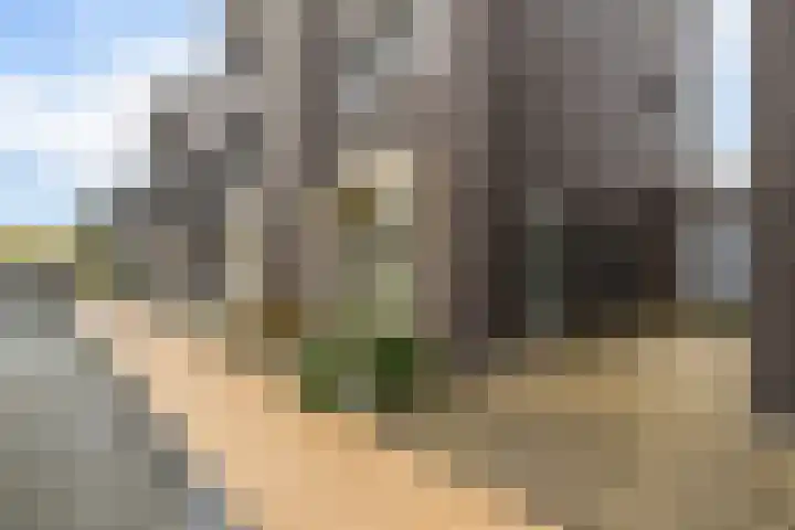 Yme Kuiperweg 53 Heerenveen thumbnail 38