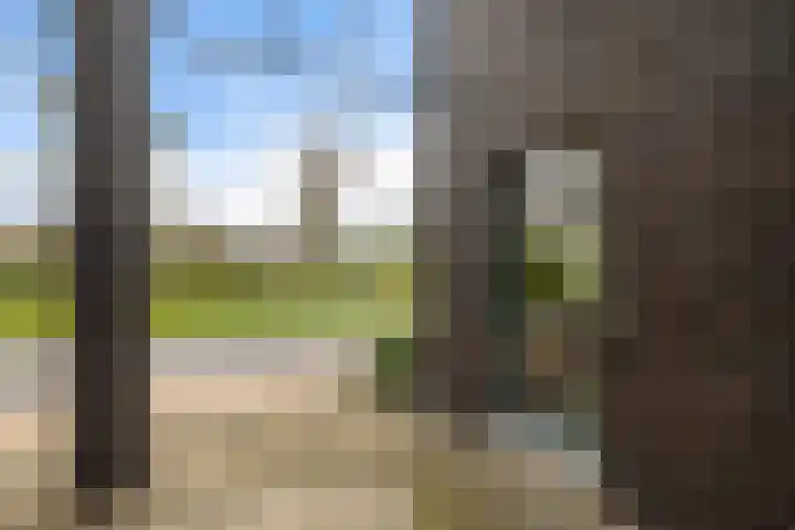 Yme Kuiperweg 53 Heerenveen thumbnail 39