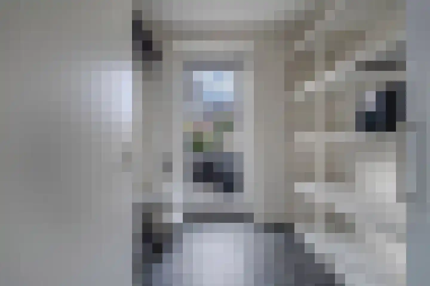 Yme Kuiperweg 7 Heerenveen thumbnail 16
