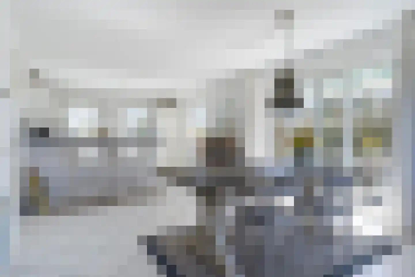 Ymedaem 27 Molkwerum thumbnail 12