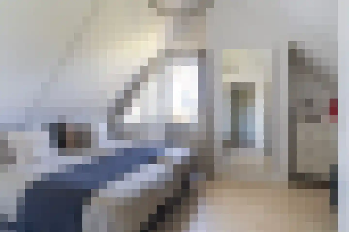 Ymedaem 27 Molkwerum thumbnail 24