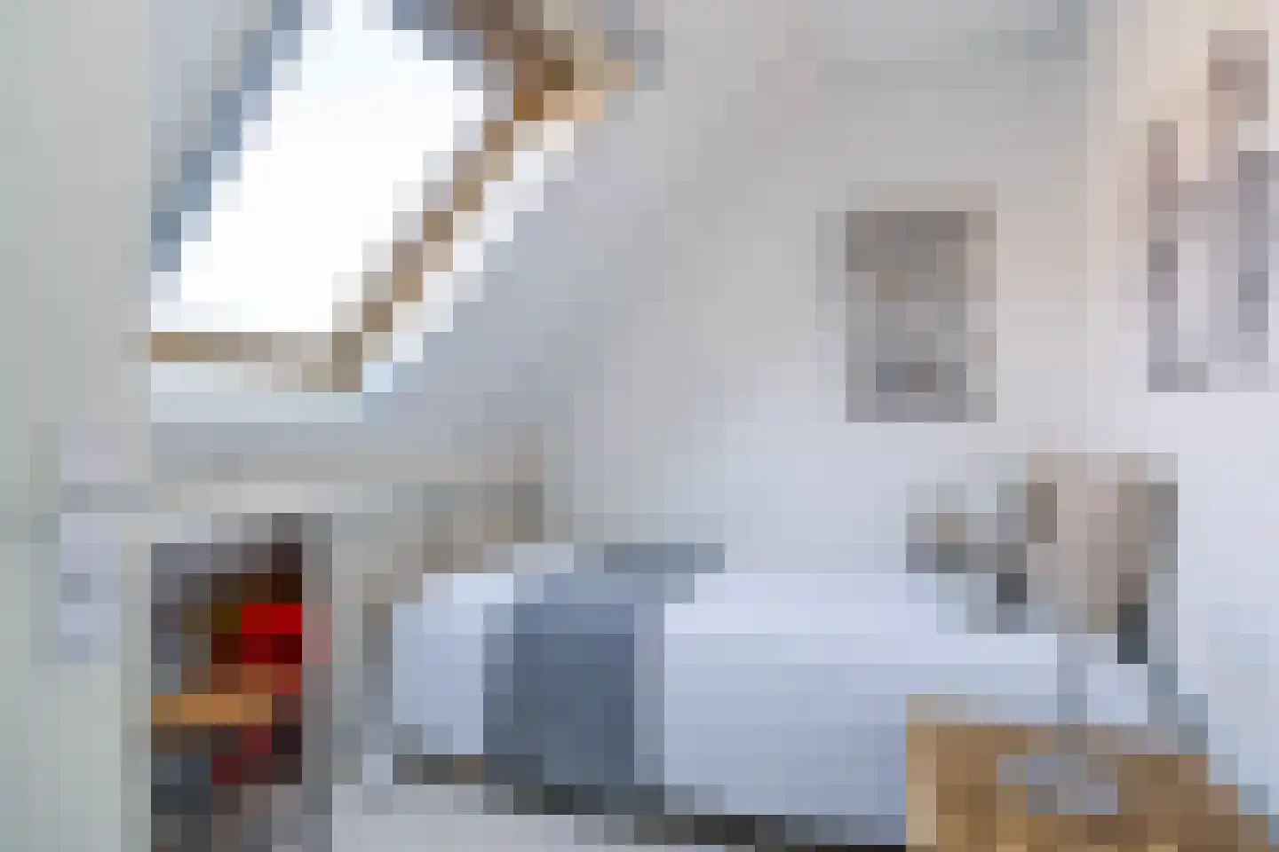 Ymedaem 27 Molkwerum thumbnail 28