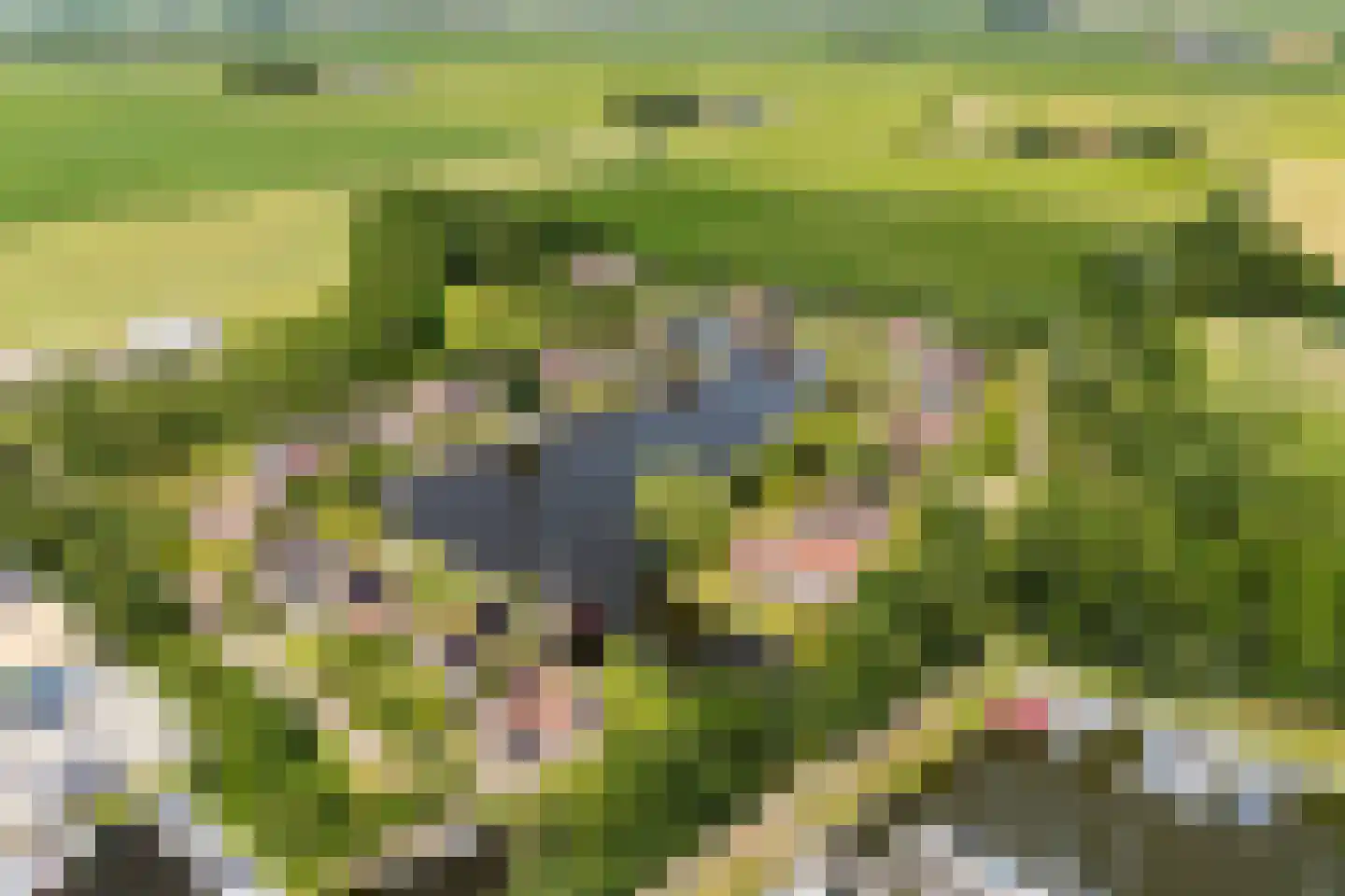 Ymedaem 27 Molkwerum thumbnail 31