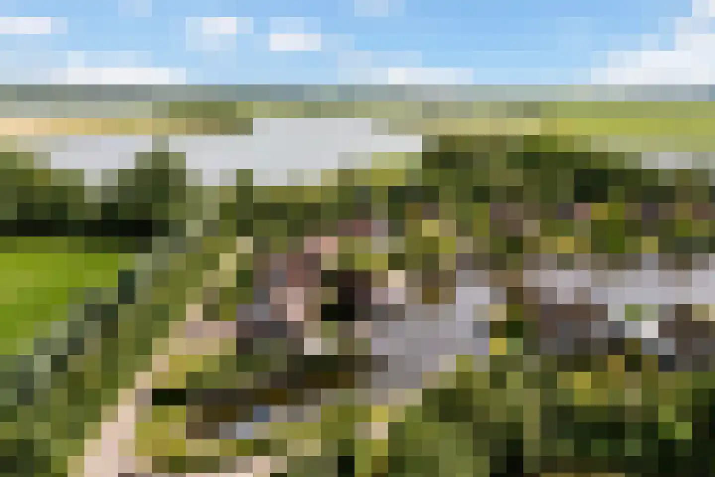 Ymedaem 27 Molkwerum thumbnail 32