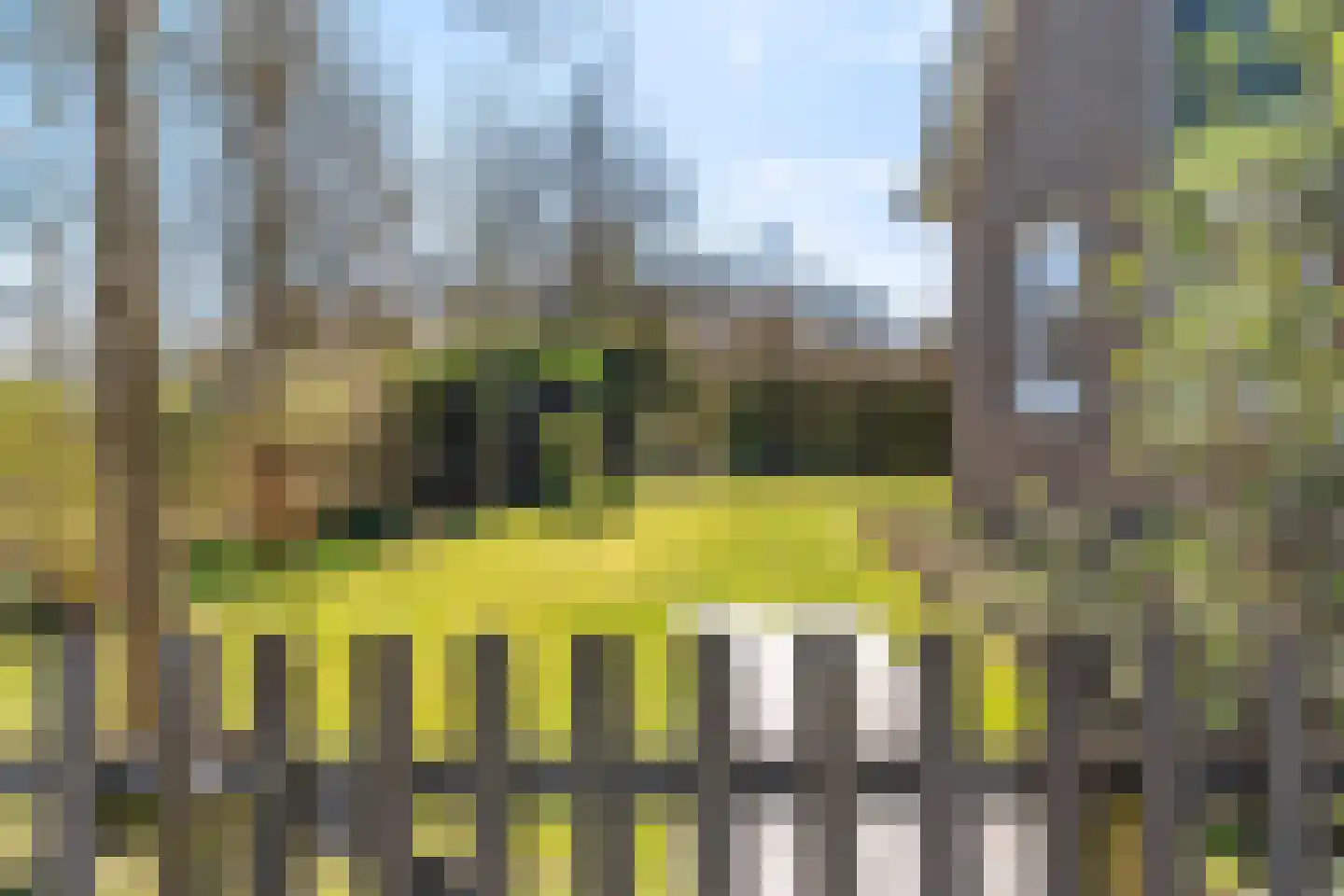 Ymedaem 27 Molkwerum thumbnail 33