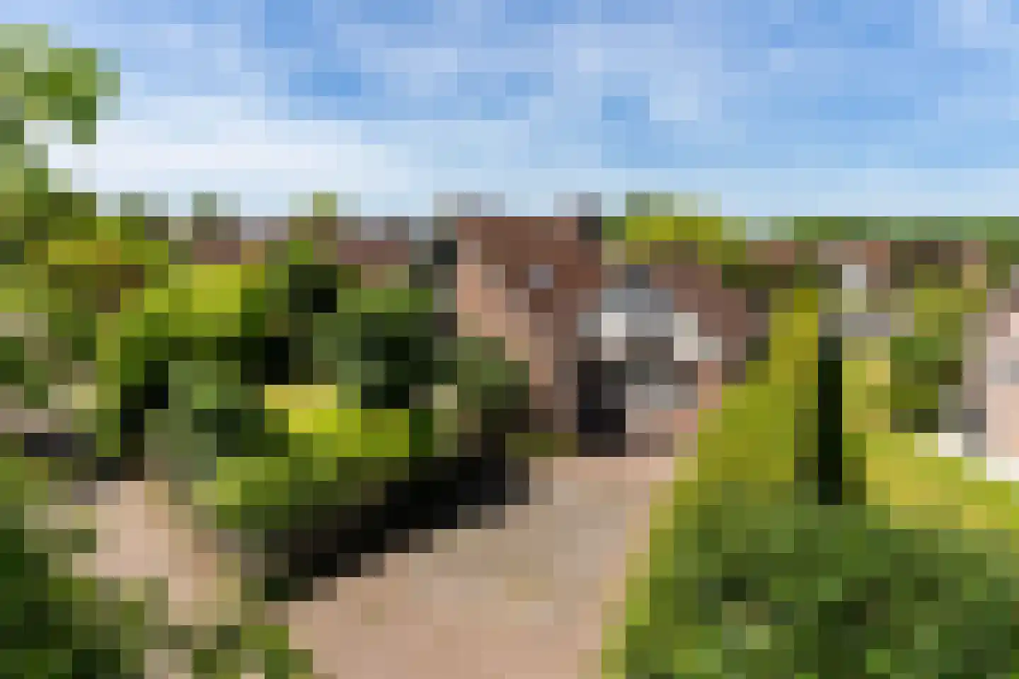 Ymedaem 27 Molkwerum thumbnail 34
