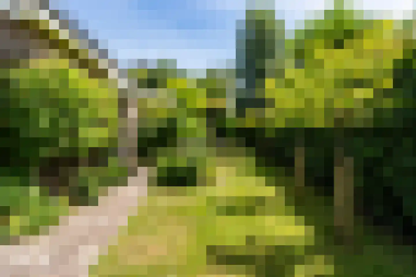 Ymedaem 27 Molkwerum thumbnail 36