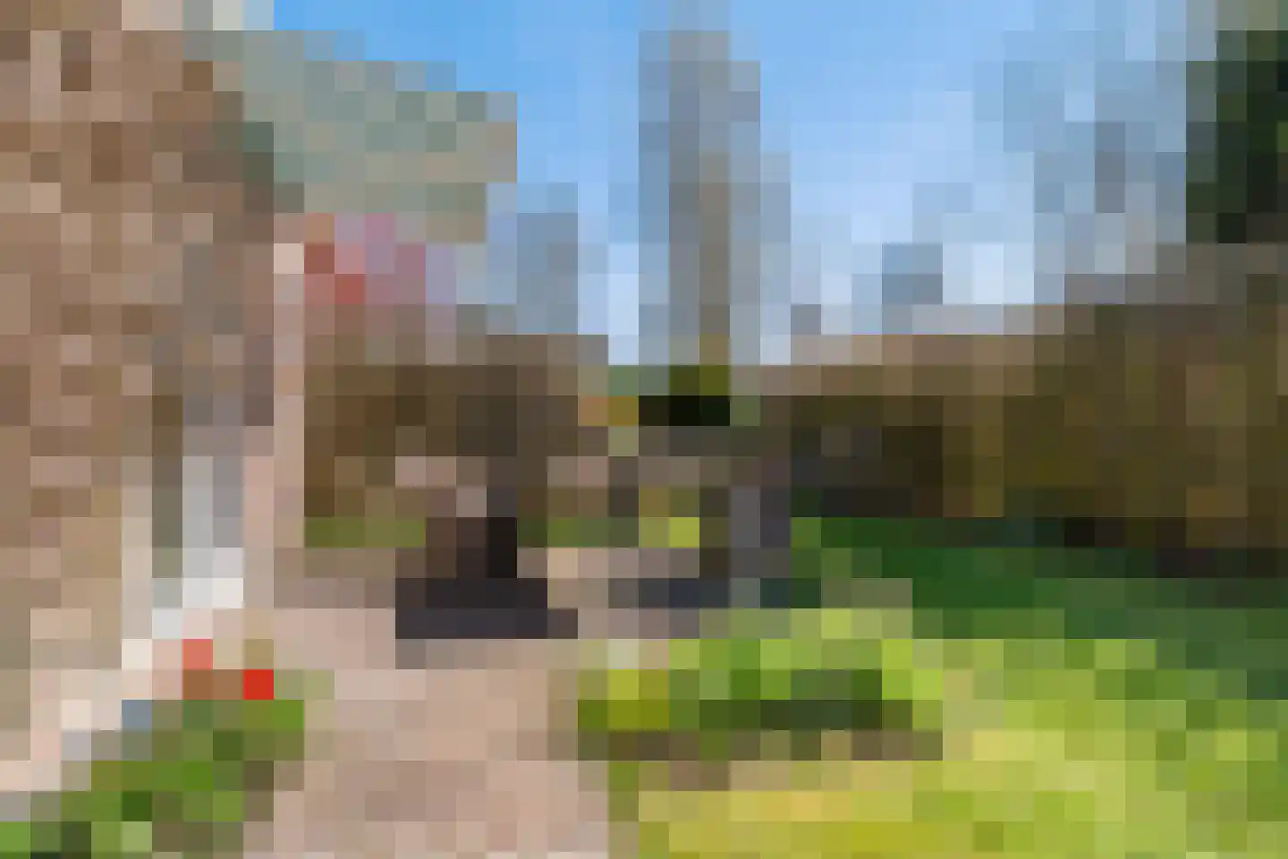 Ymedaem 27 Molkwerum thumbnail 36