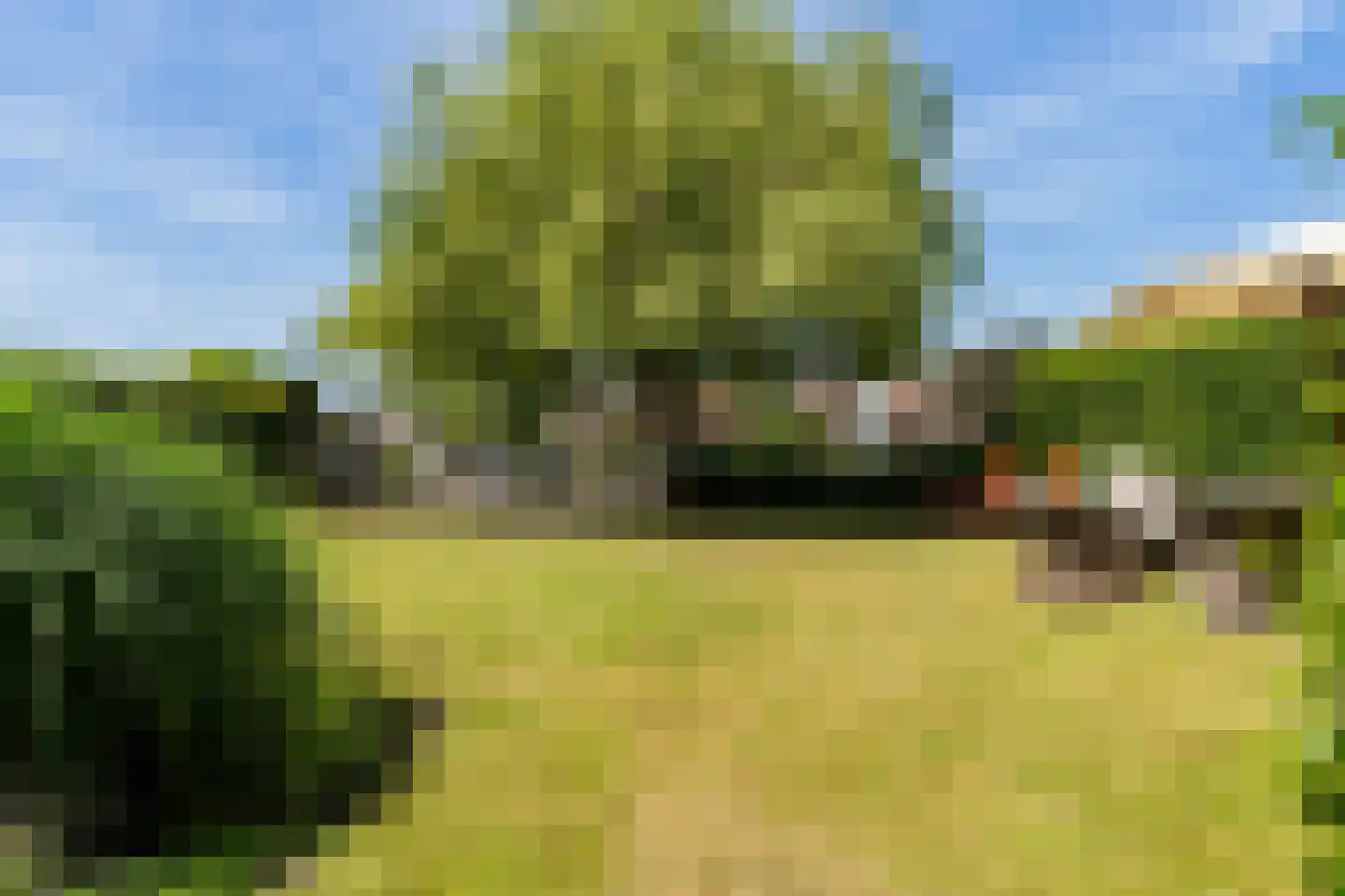 Ymedaem 27 Molkwerum thumbnail 37