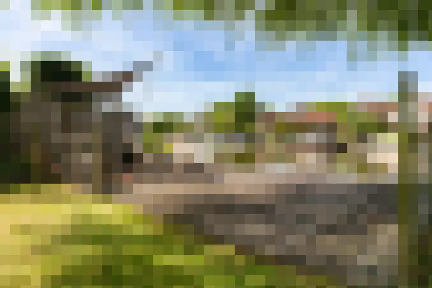 Ymedaem 27 Molkwerum thumbnail 4