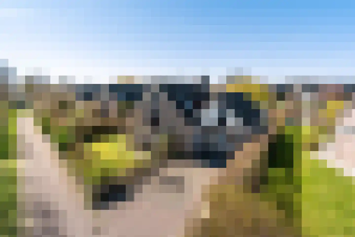 Ymedaem 27 Molkwerum thumbnail 4