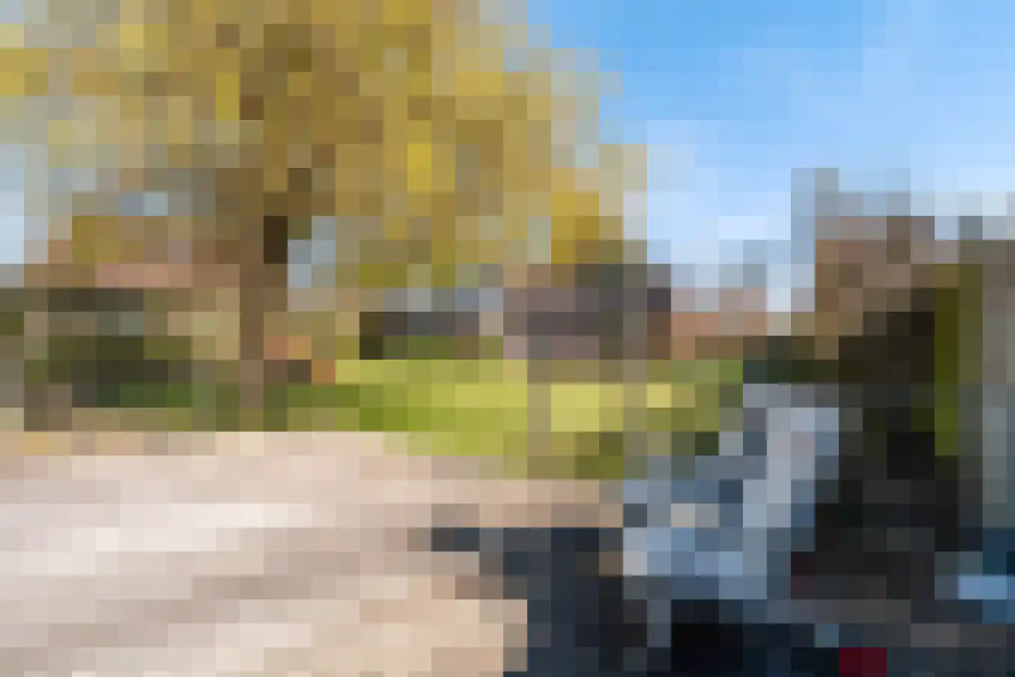 Ymedaem 27 Molkwerum thumbnail 44