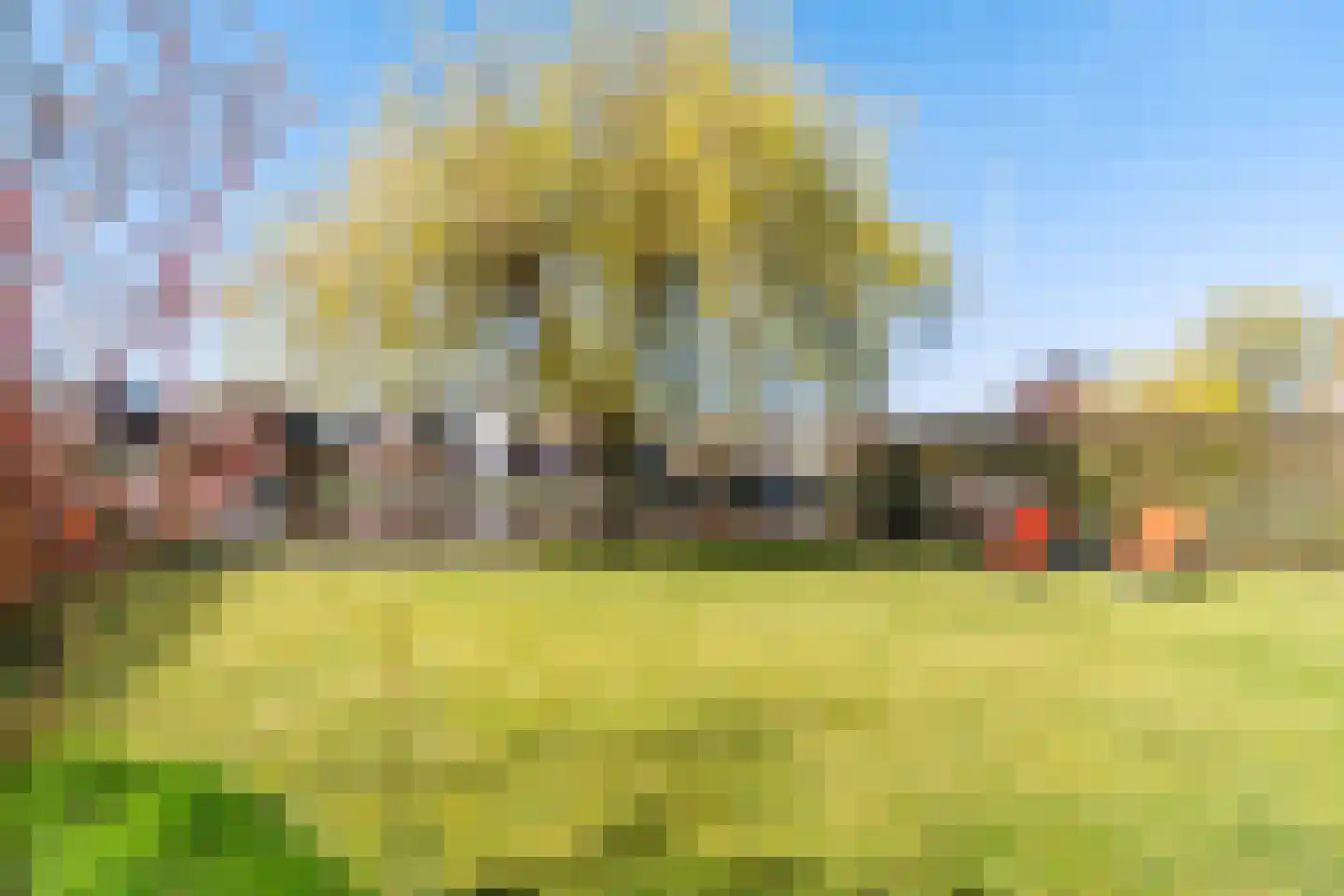 Ymedaem 27 Molkwerum thumbnail 47