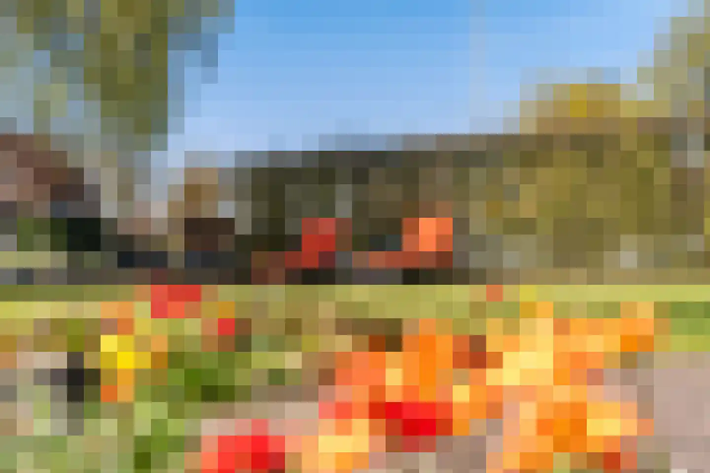 Ymedaem 27 Molkwerum thumbnail 53