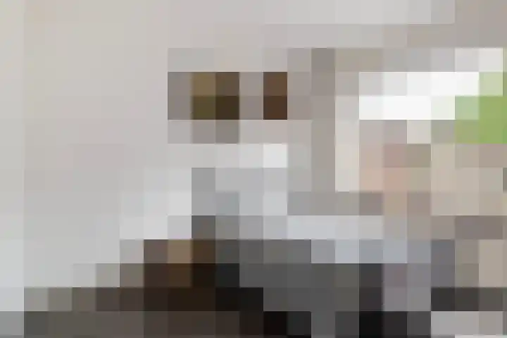 Ymkersstrjitte 21 Burgum thumbnail 18