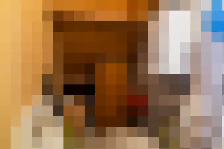 Ymkersstrjitte 21 Burgum thumbnail 30