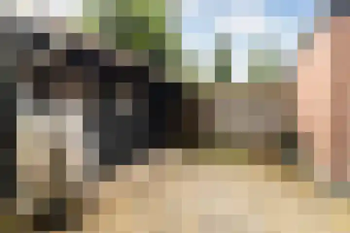 Ymkersstrjitte 21 Burgum thumbnail 38