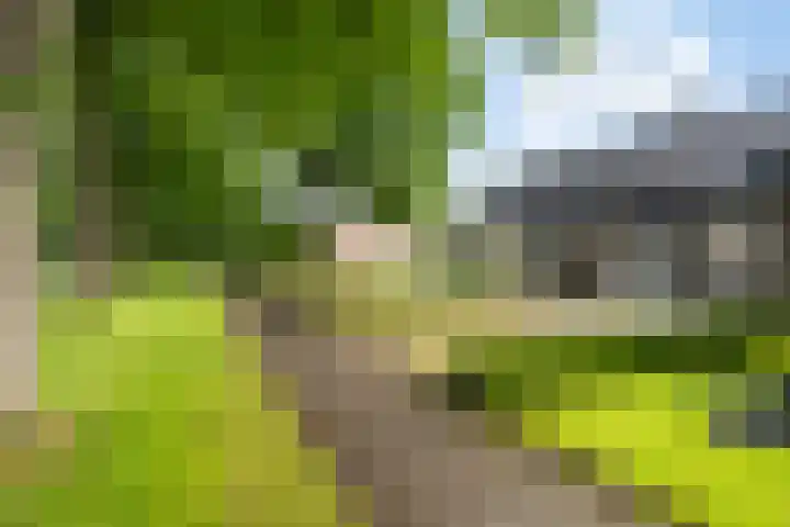 Ymkersstrjitte 21 Burgum thumbnail 39