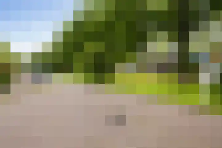 Ymkersstrjitte 21 Burgum thumbnail 41