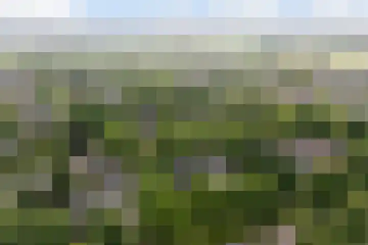 Ymkersstrjitte 21 Burgum thumbnail 43