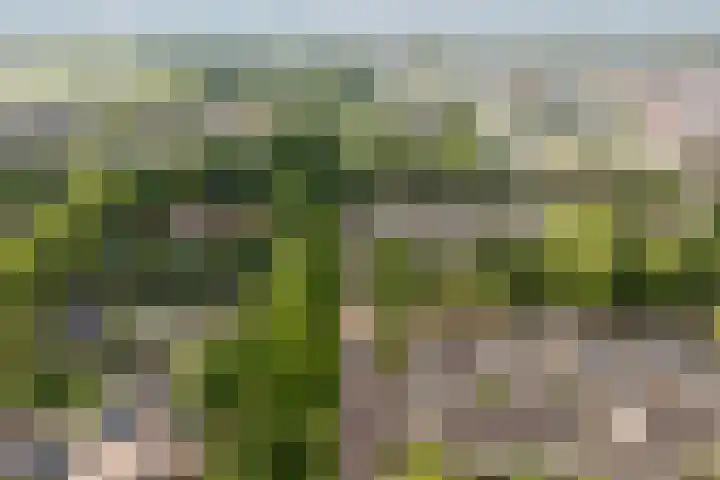Ymkersstrjitte 21 Burgum thumbnail 44