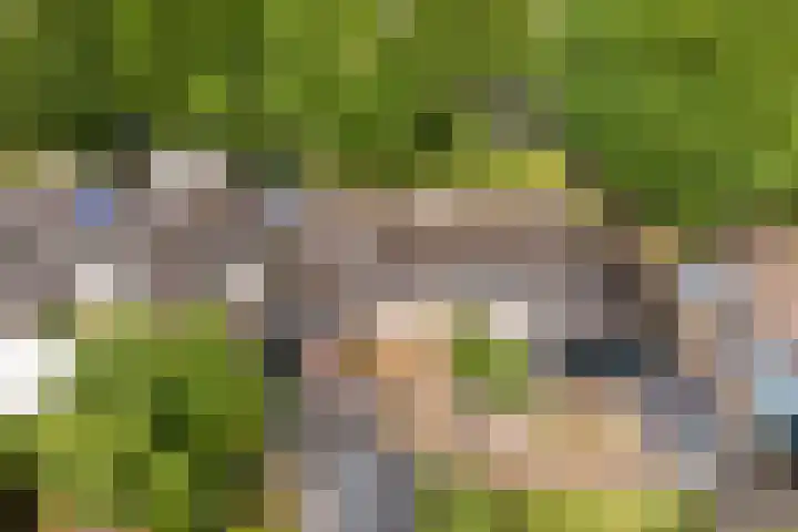 Ymkersstrjitte 21 Burgum thumbnail 45