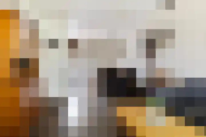 Ymkersstrjitte 21 Burgum thumbnail 9
