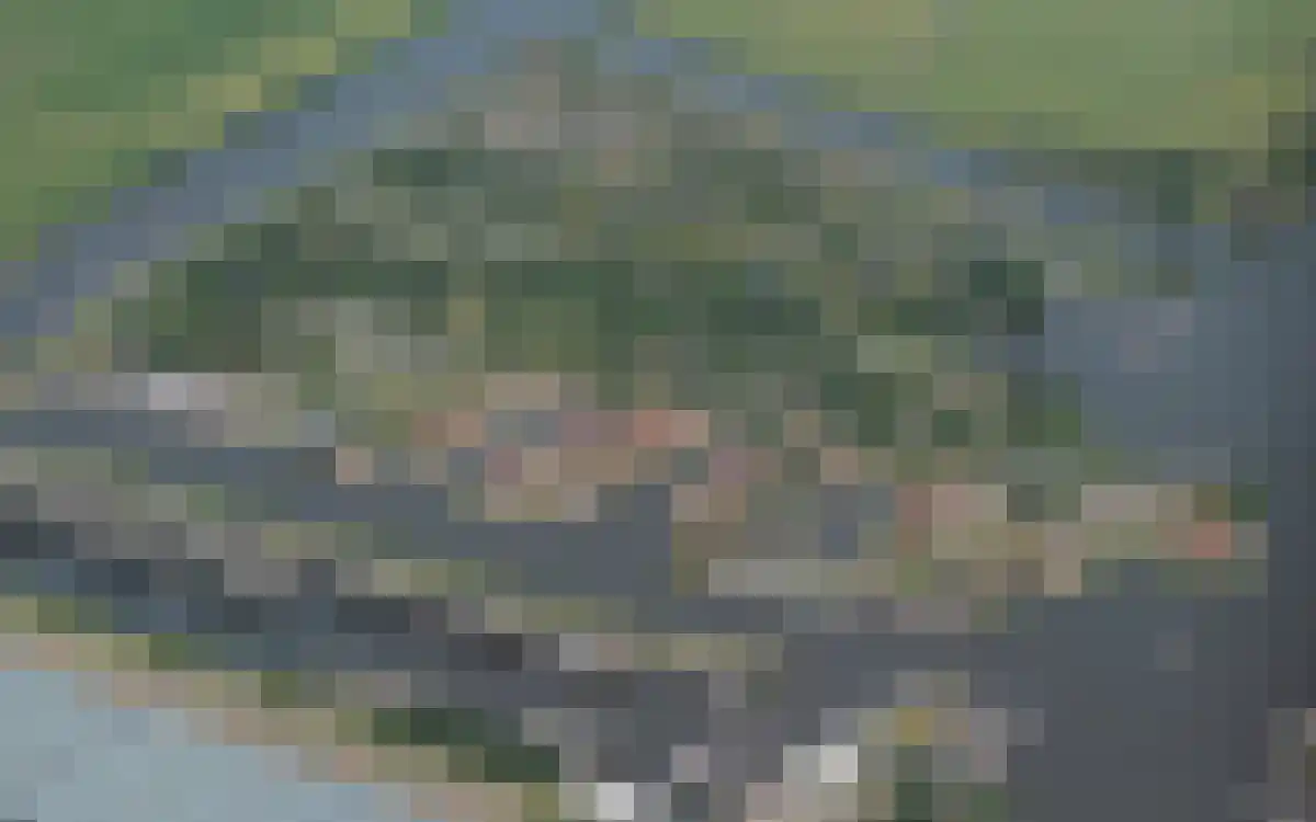 Yn 'e Lijte 1 84 Grou thumbnail 9