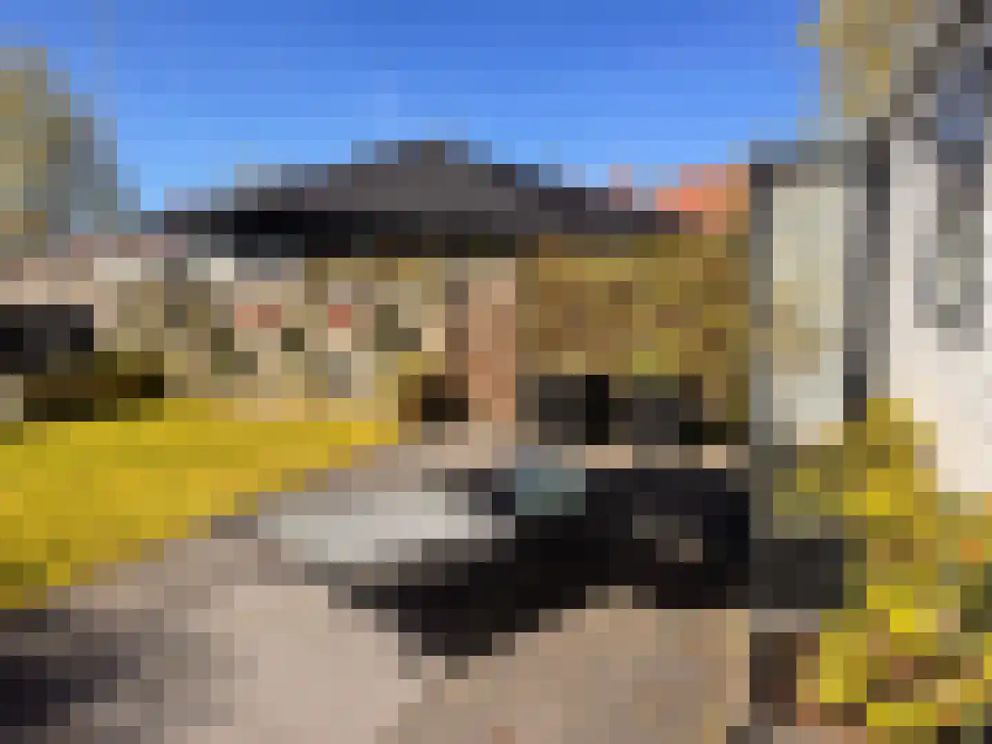 Yn 'e Lijte 1 B19 Grou thumbnail 13