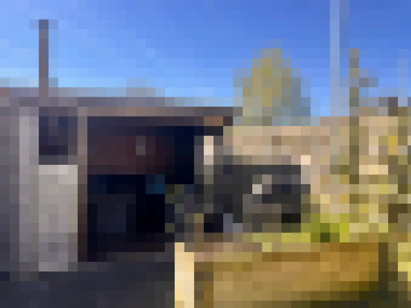 Yn 'e Lijte 1 B19 Grou thumbnail 16