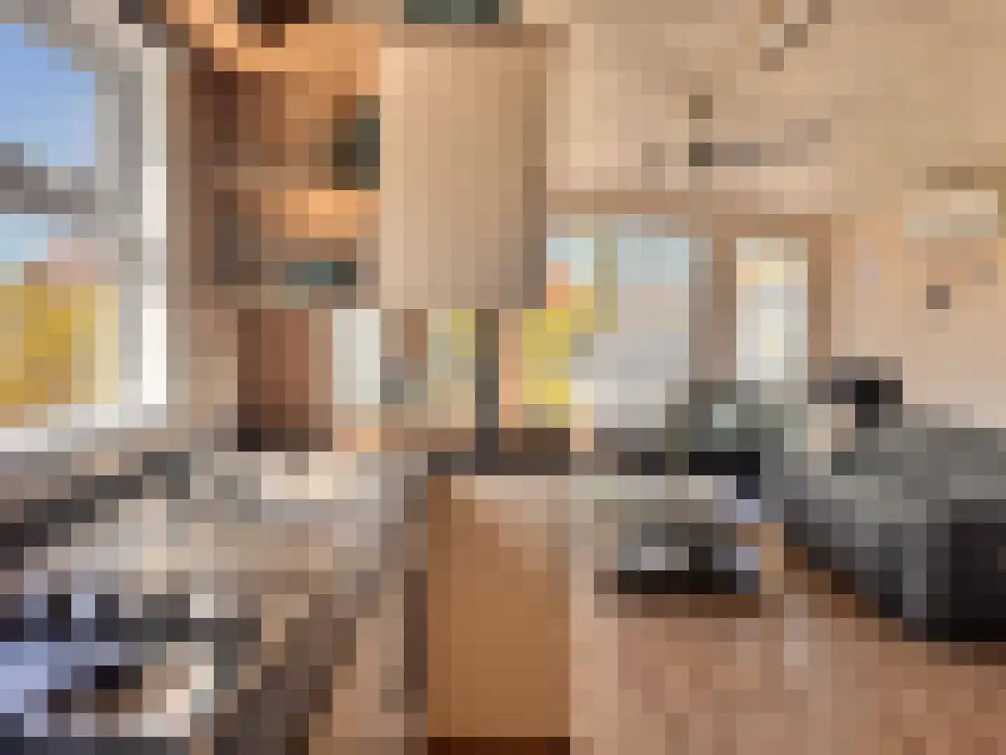 Yn 'e Lijte 1 B19 Grou foto 3