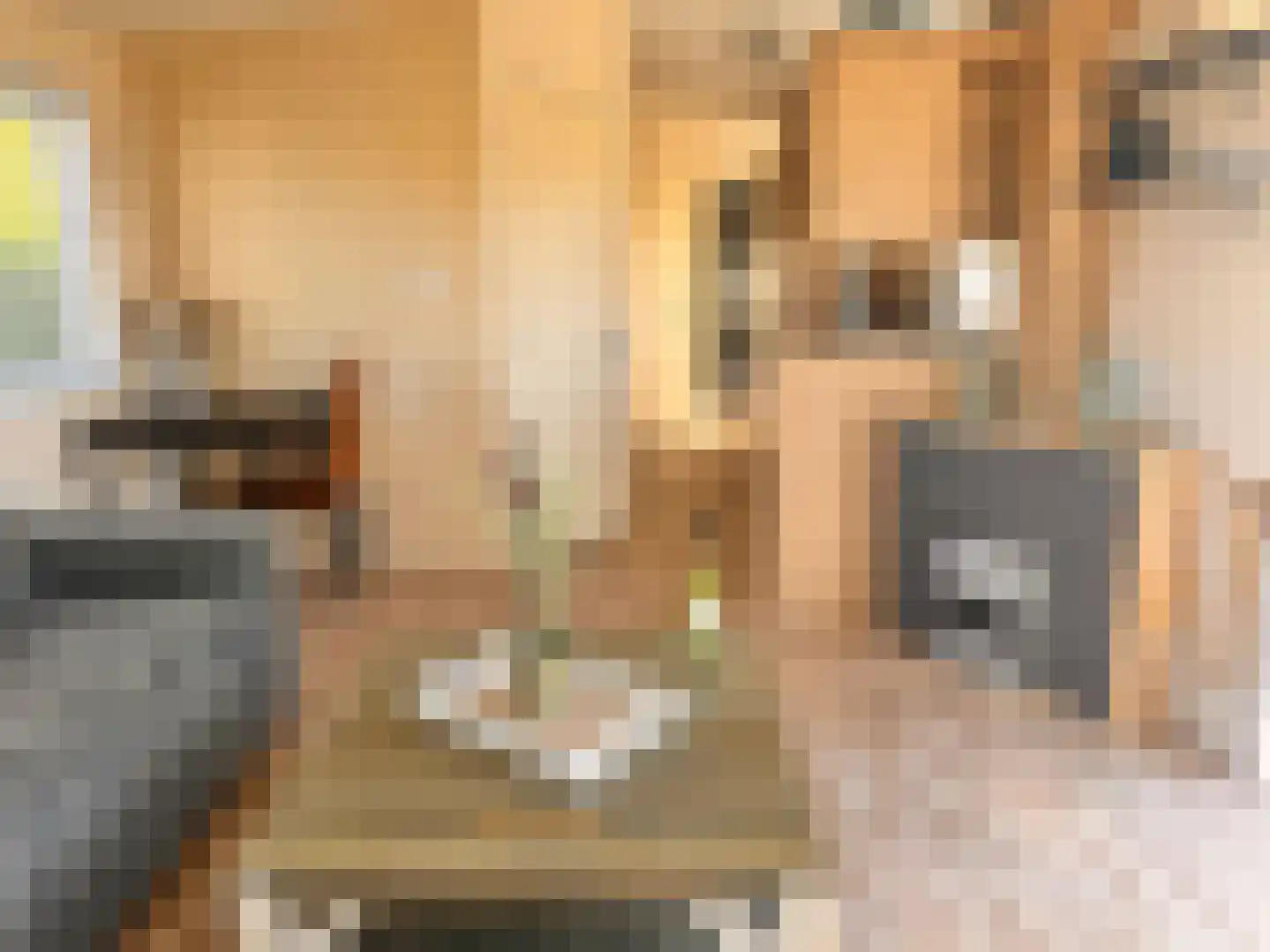 Yn 'e Lijte 1 B19 Grou thumbnail 4
