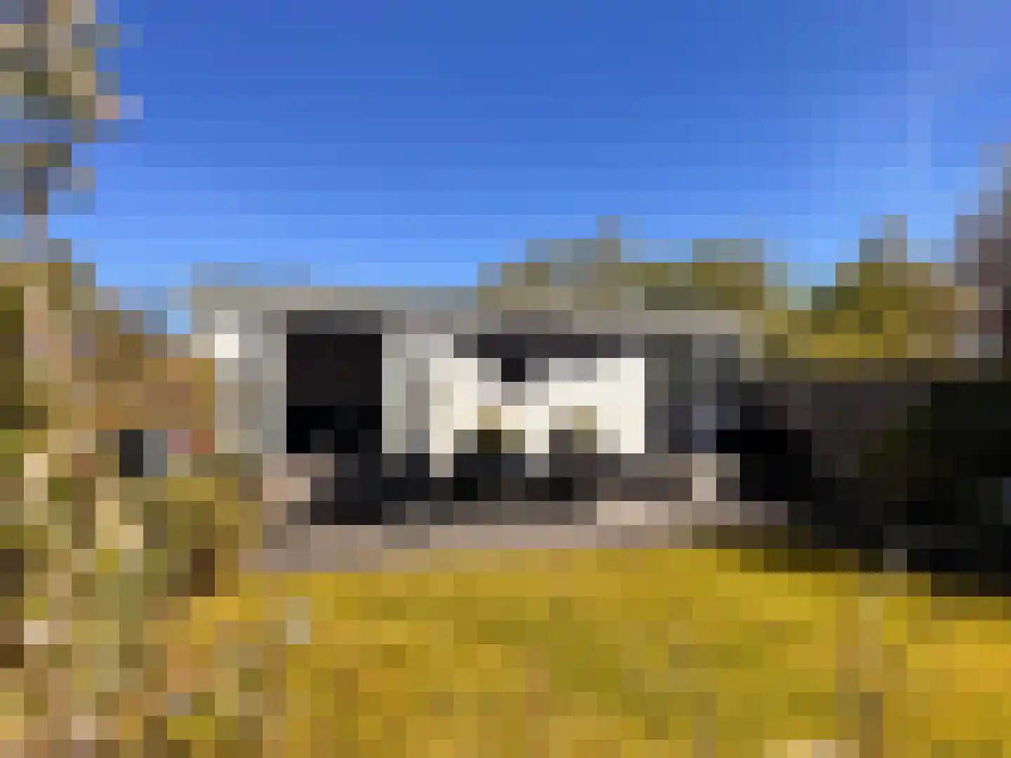 Yn 'e Lijte 1 B19 Grou thumbnail 6