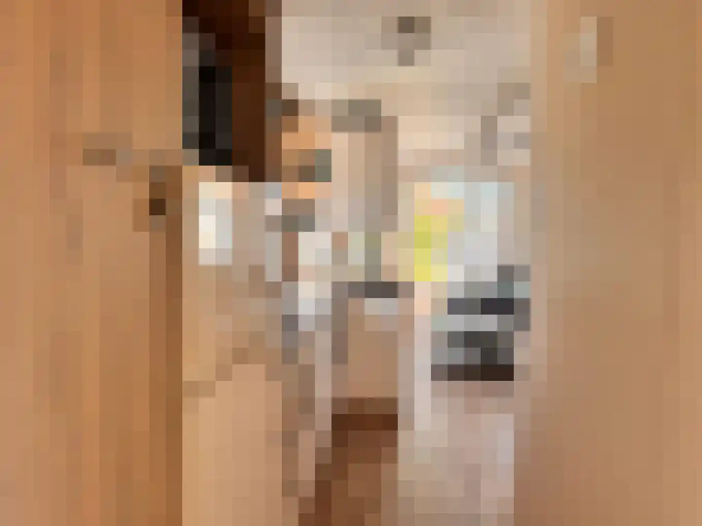 Yn 'e Lijte 1 B19 Grou thumbnail 8