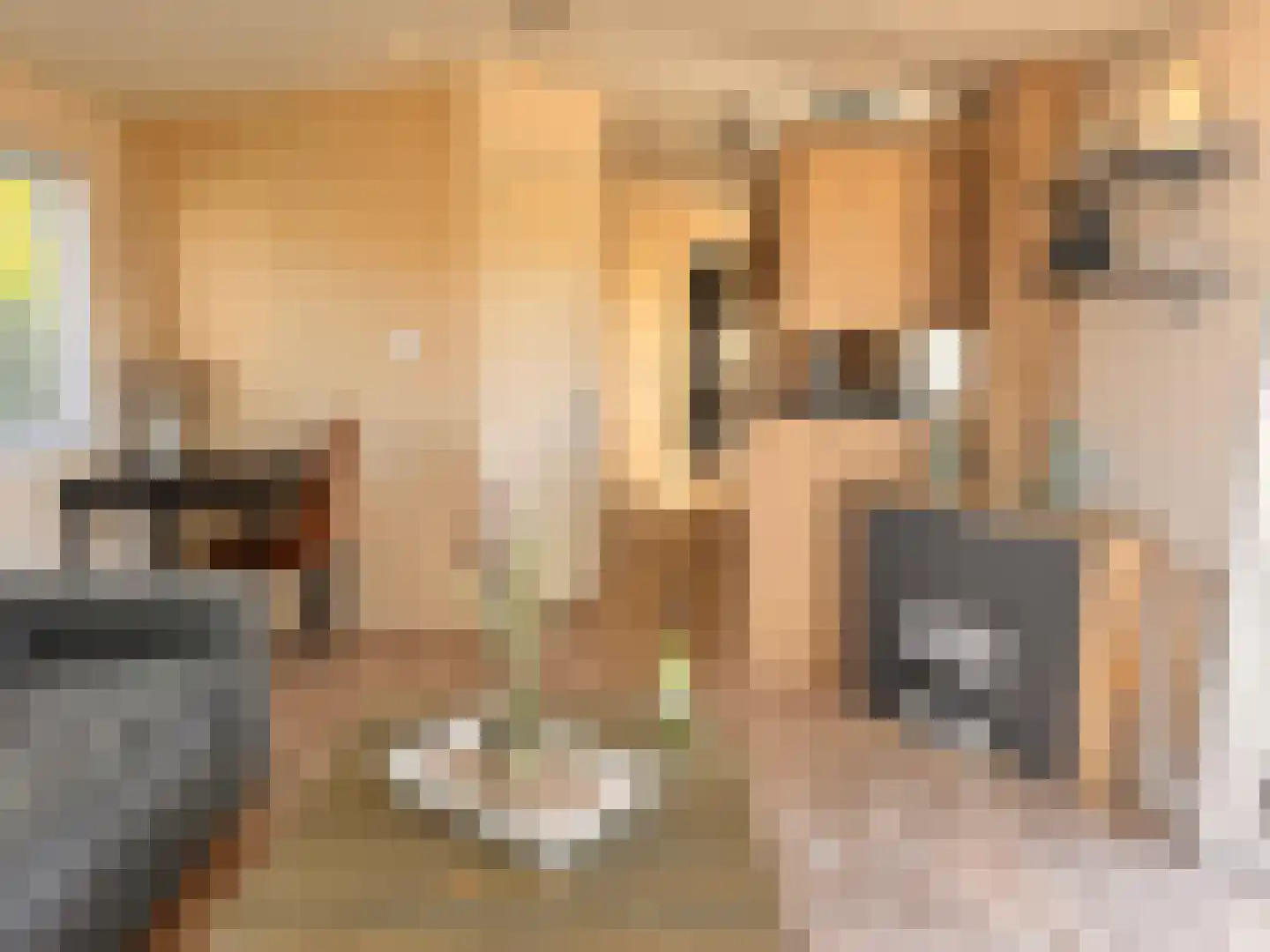 Yn 'e Lijte 1 B19 Grou thumbnail 9
