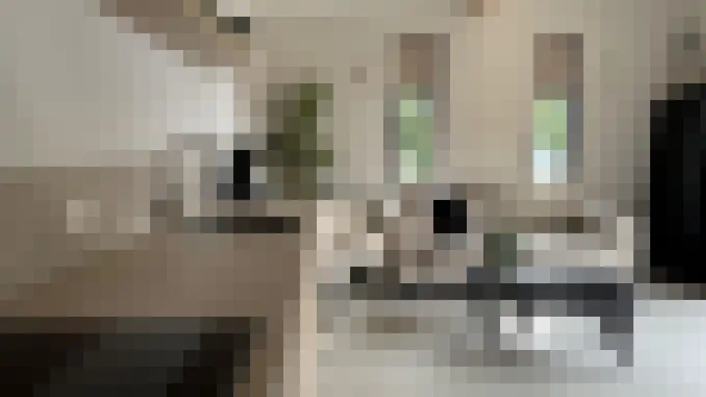 Yn 'e Lijte 1 Grou thumbnail 11