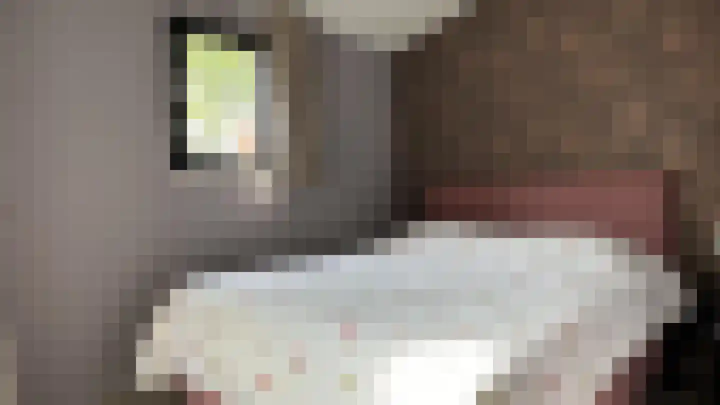 Yn 'e Lijte 1 Grou thumbnail 13