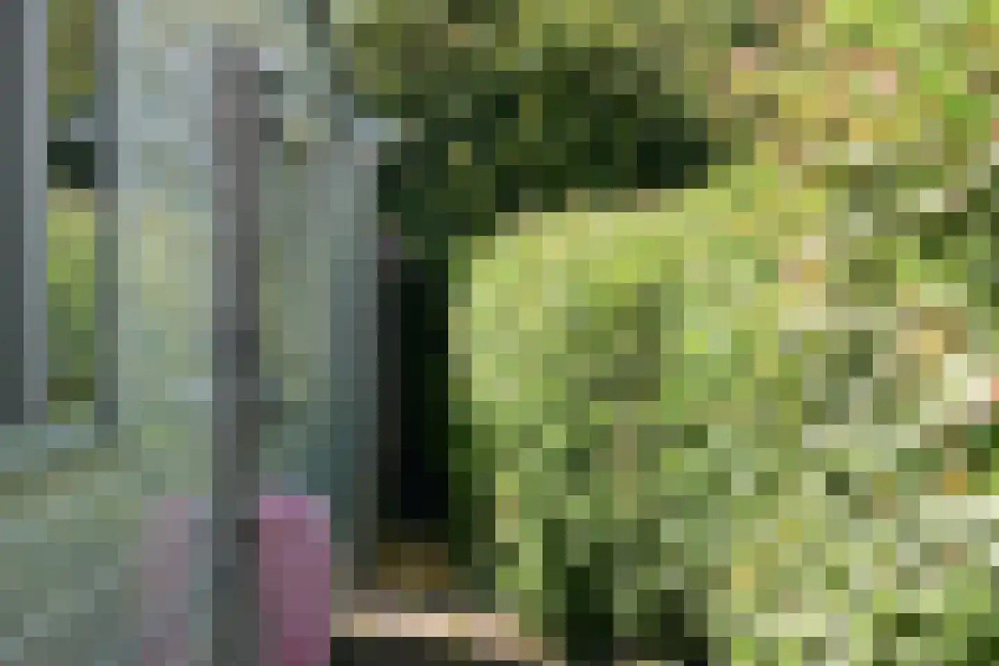 Yn 'e Lijte 10 35 Grou thumbnail 16