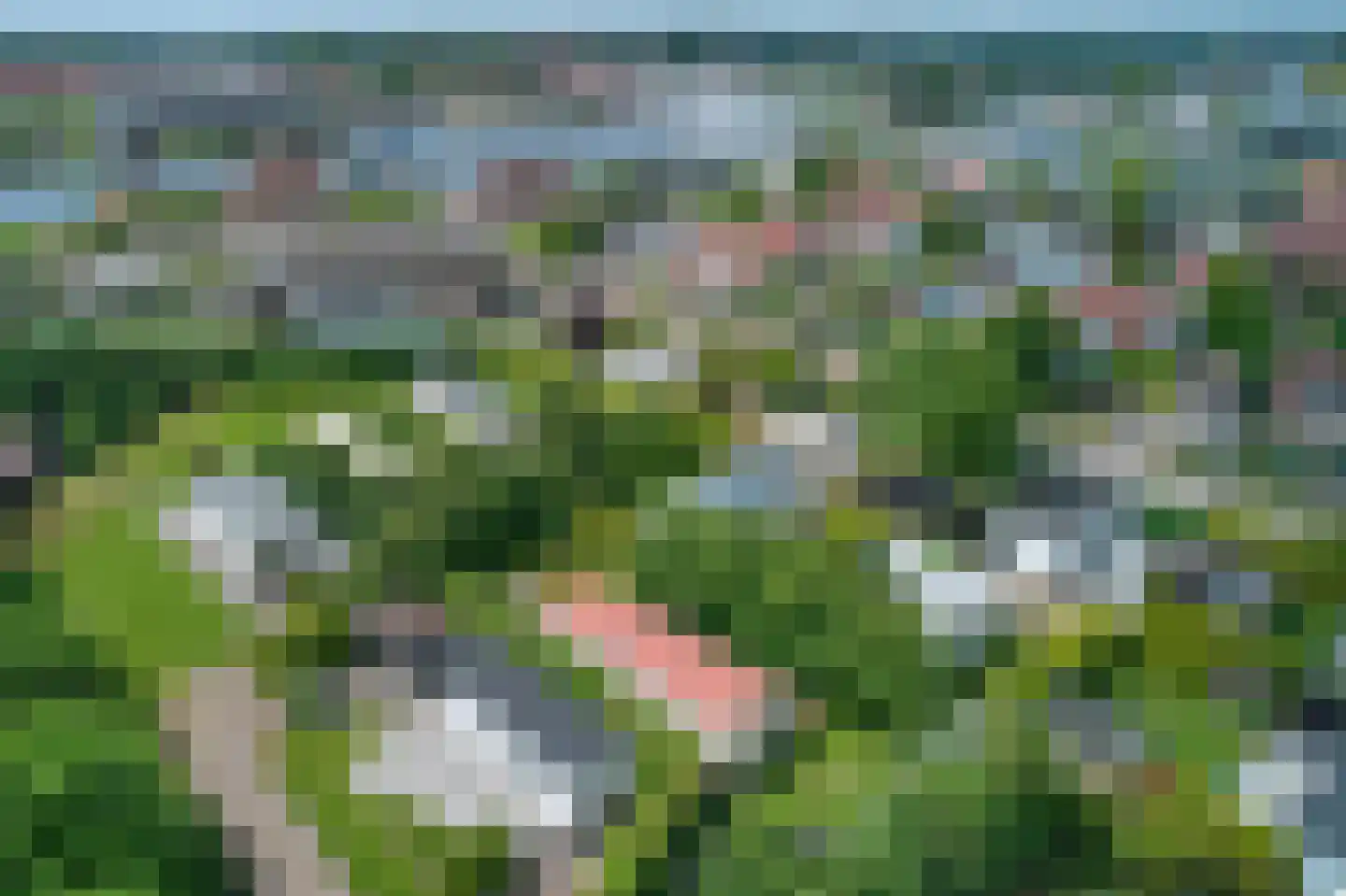 Yn 'e Lijte 10 35 Grou thumbnail 17
