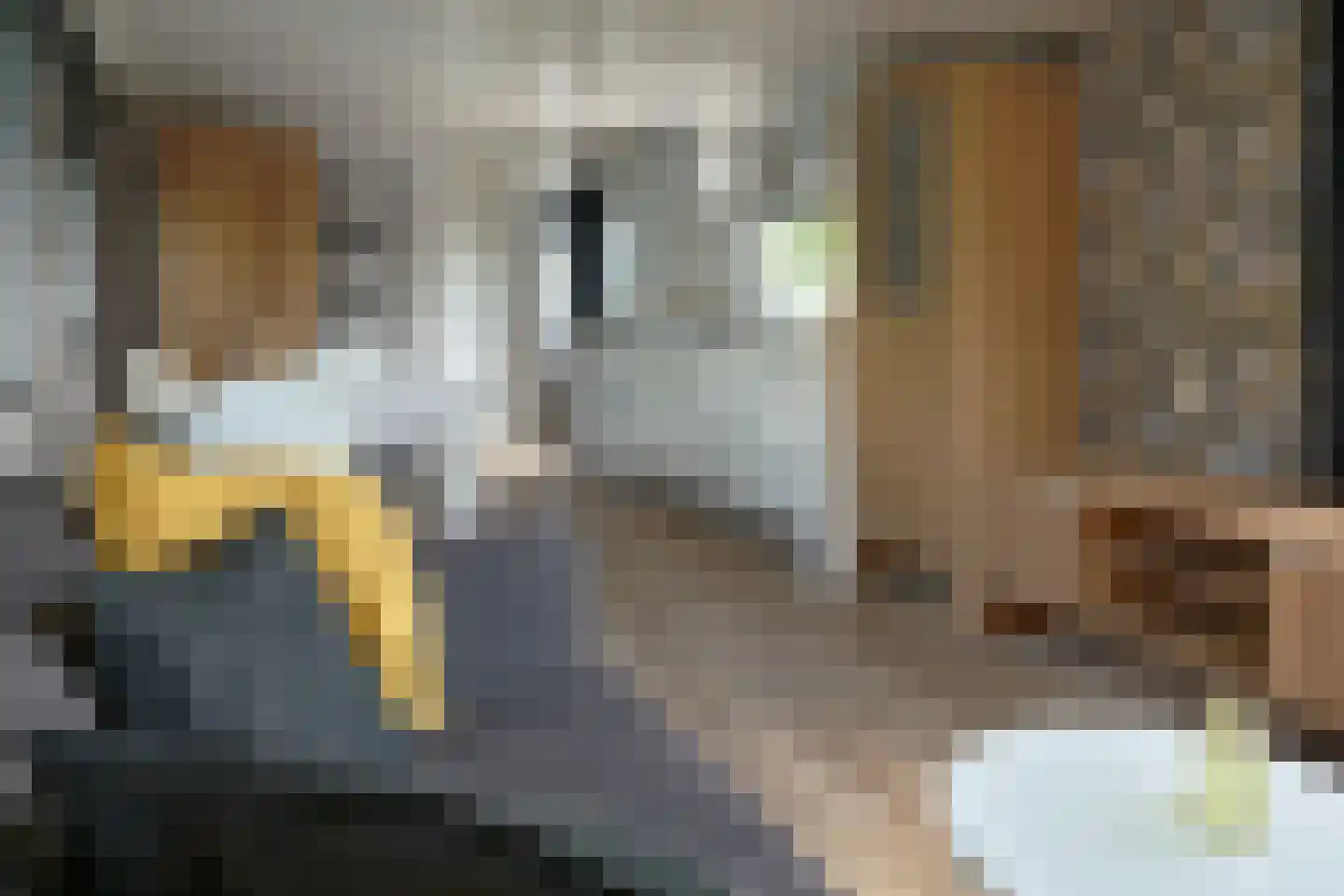 Yn 'e Lijte 10 35 Grou foto 3